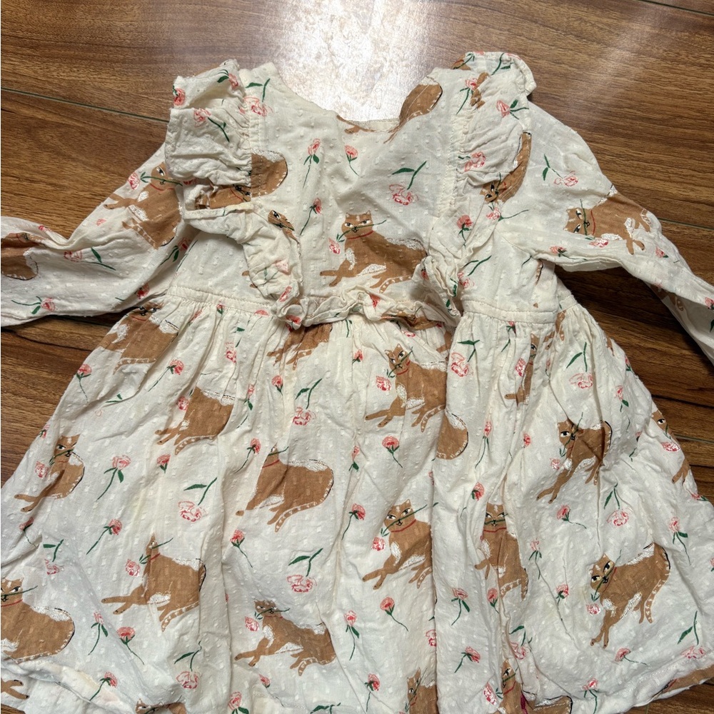 Pink Chicken Cream Dress with Animal and Floral Design